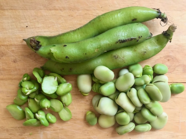 On Vegetables cookbook by Jeremy Fox recipe for whole roasted young fava beans with their pesto and pistachio